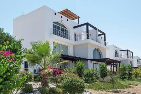 Joya Cyprus Mermaid Penthouse Apartment Agios Amvrosios  Exteriér fotografie